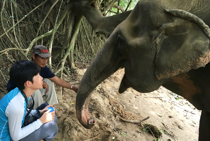 청소년이 태국에서 코끼리 앞에 앉아있는 사진